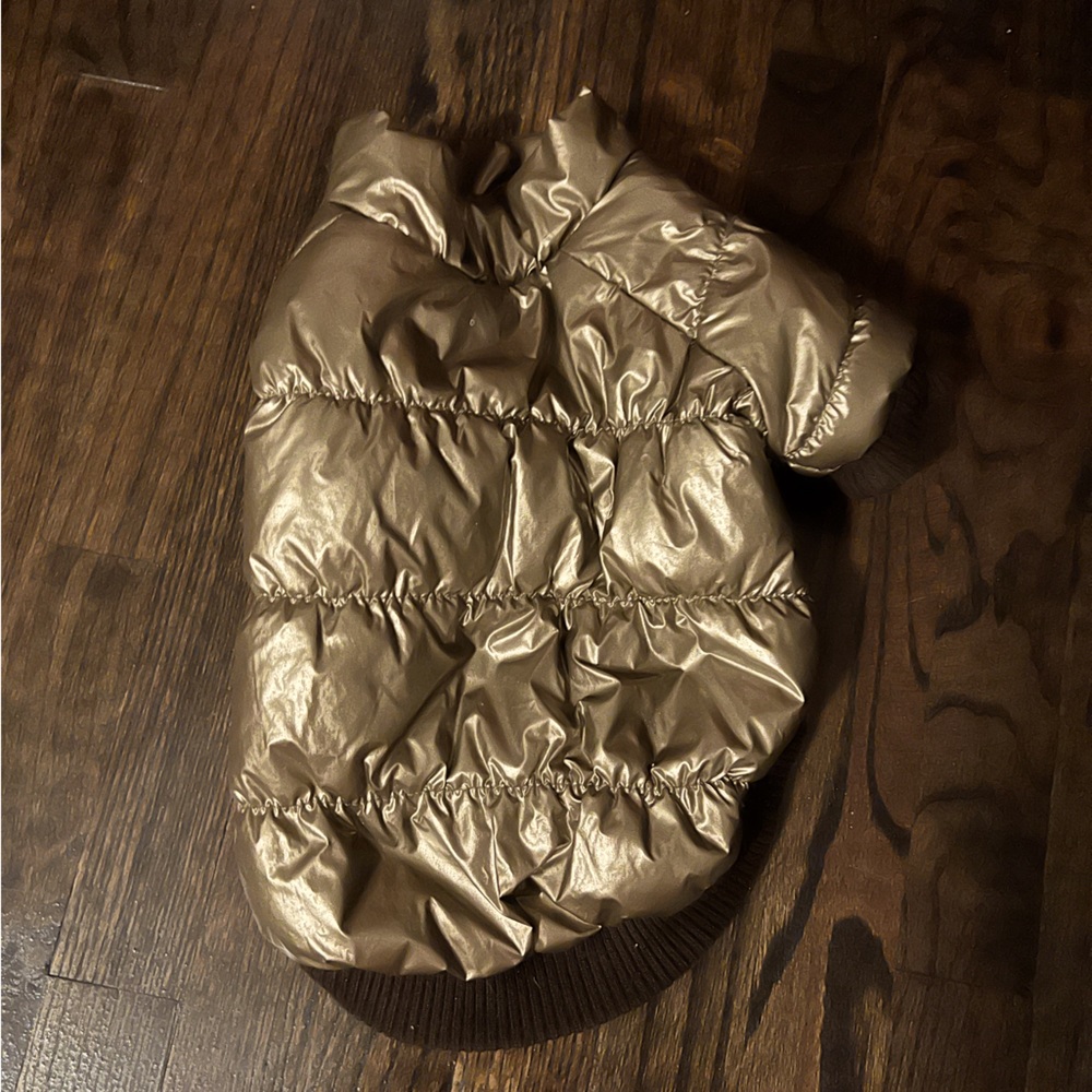 Winter Jacket for Dogs
